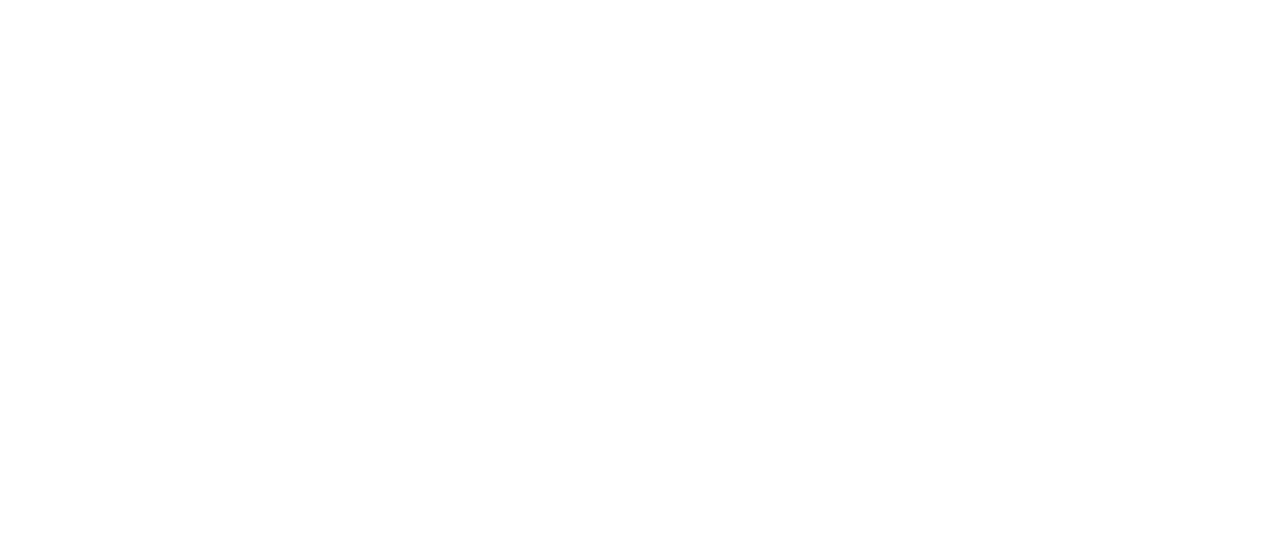 logo blanc